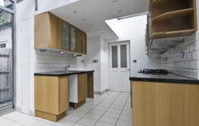 Gwernesney kitchen extension leads